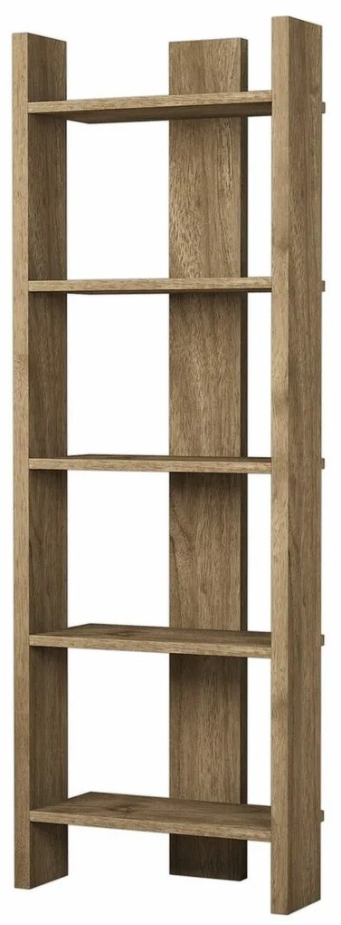 Virba Walnut könyvtár