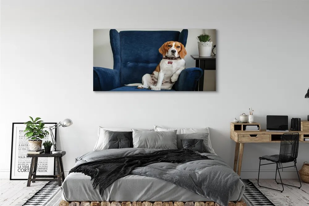 Canvas képek ül kutya 120x60 cm