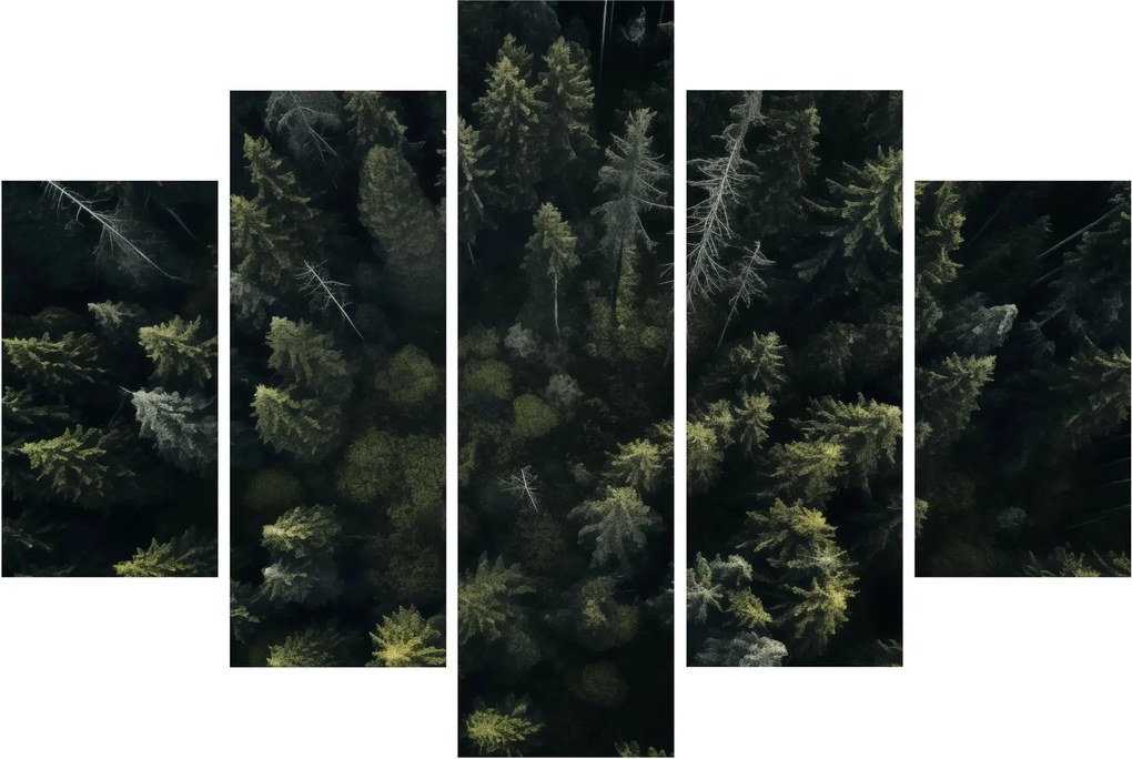 Kép - Forest (150x105 cm)