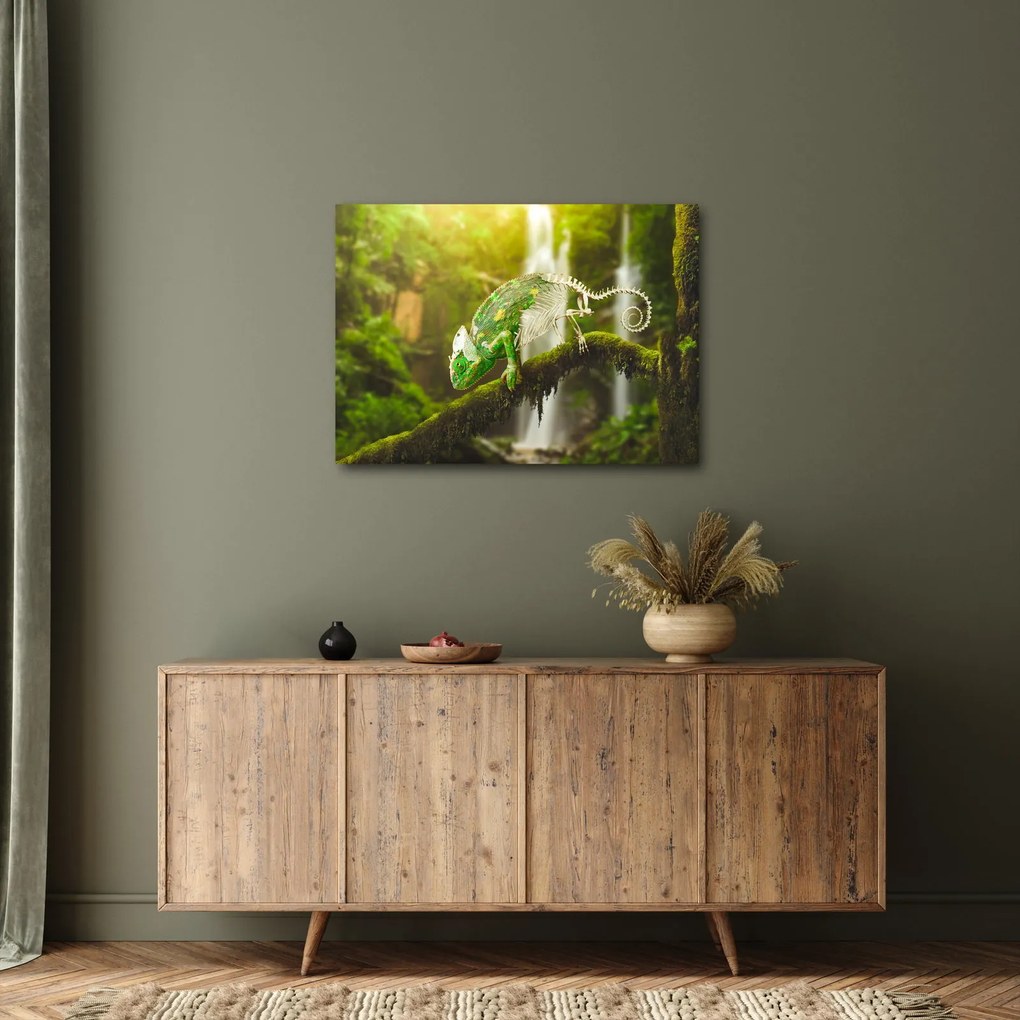 Kaméleon képe (70x50 cm)