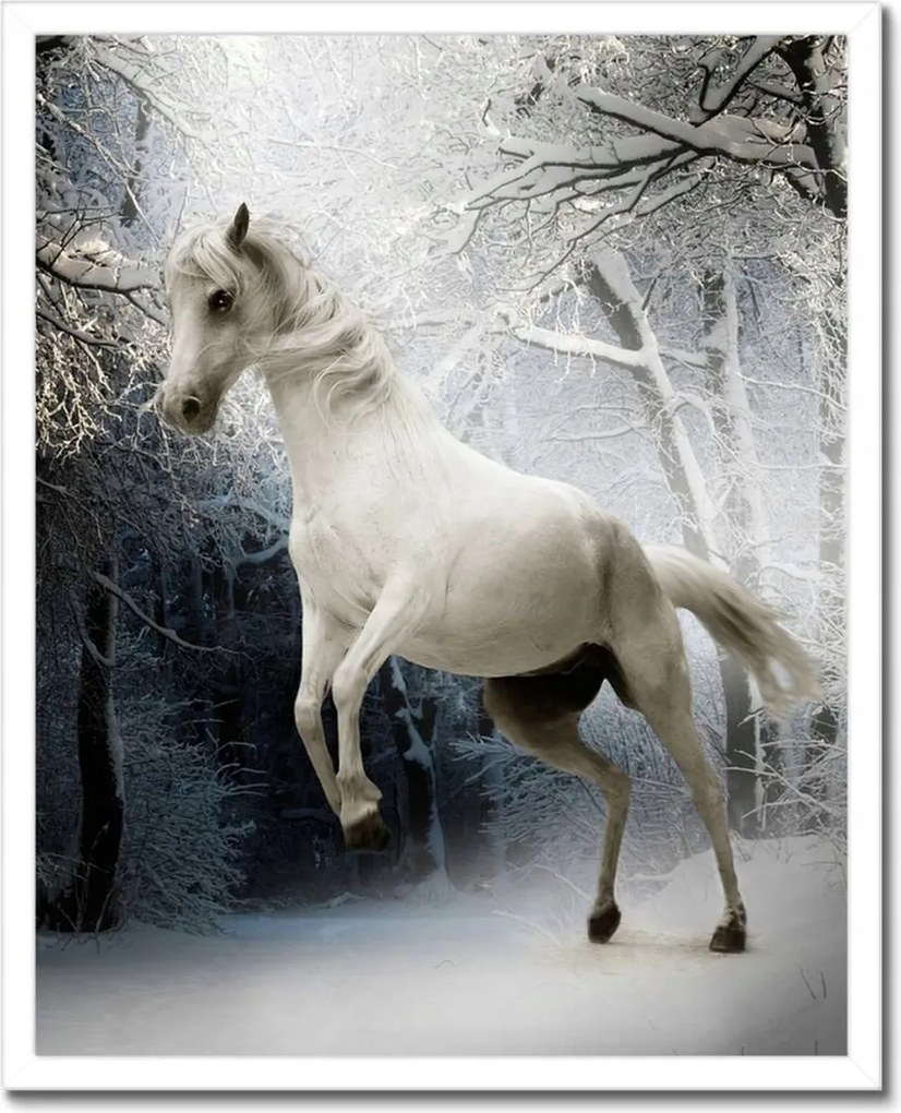 Poszter keretben 40x50 Fehér paripa