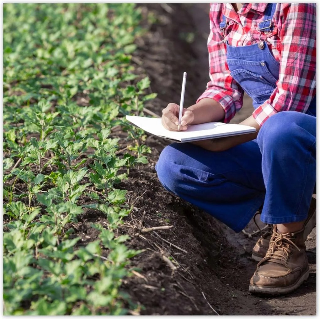 Poszterek 30x30 Modern mezőgazdaság