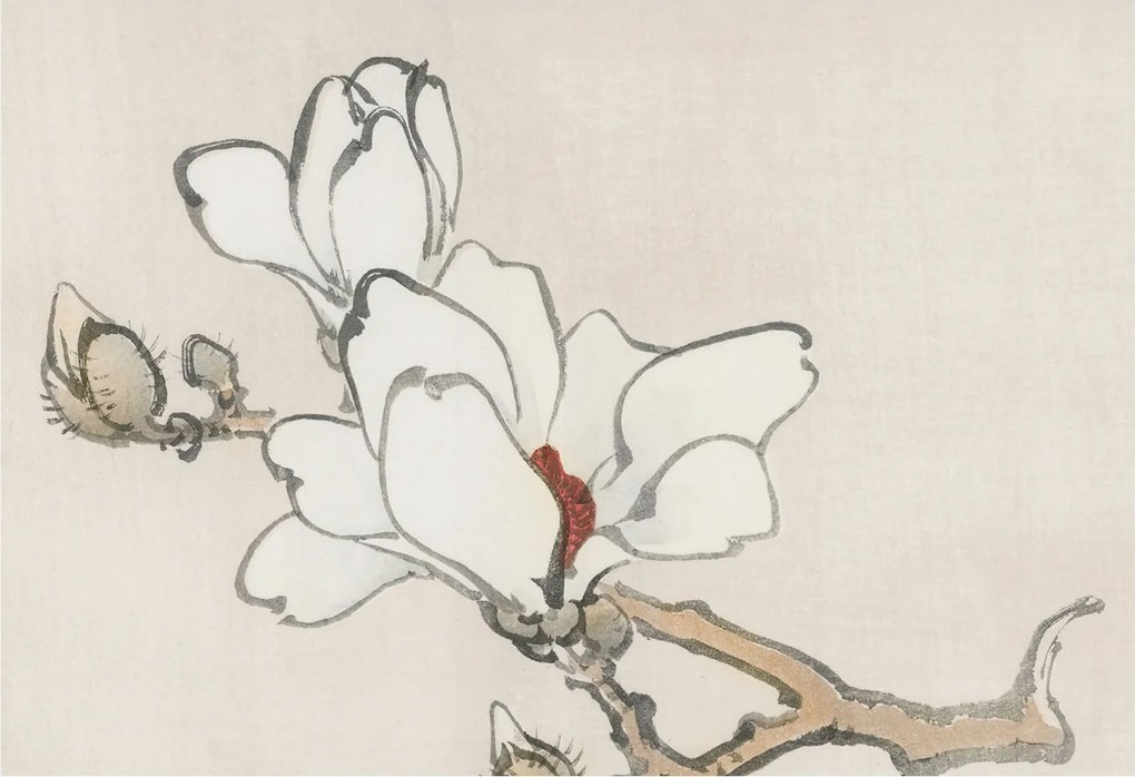 Dekoratív Fotótapéta Fali Falra Finom magnólia 152x104 Ragasztó