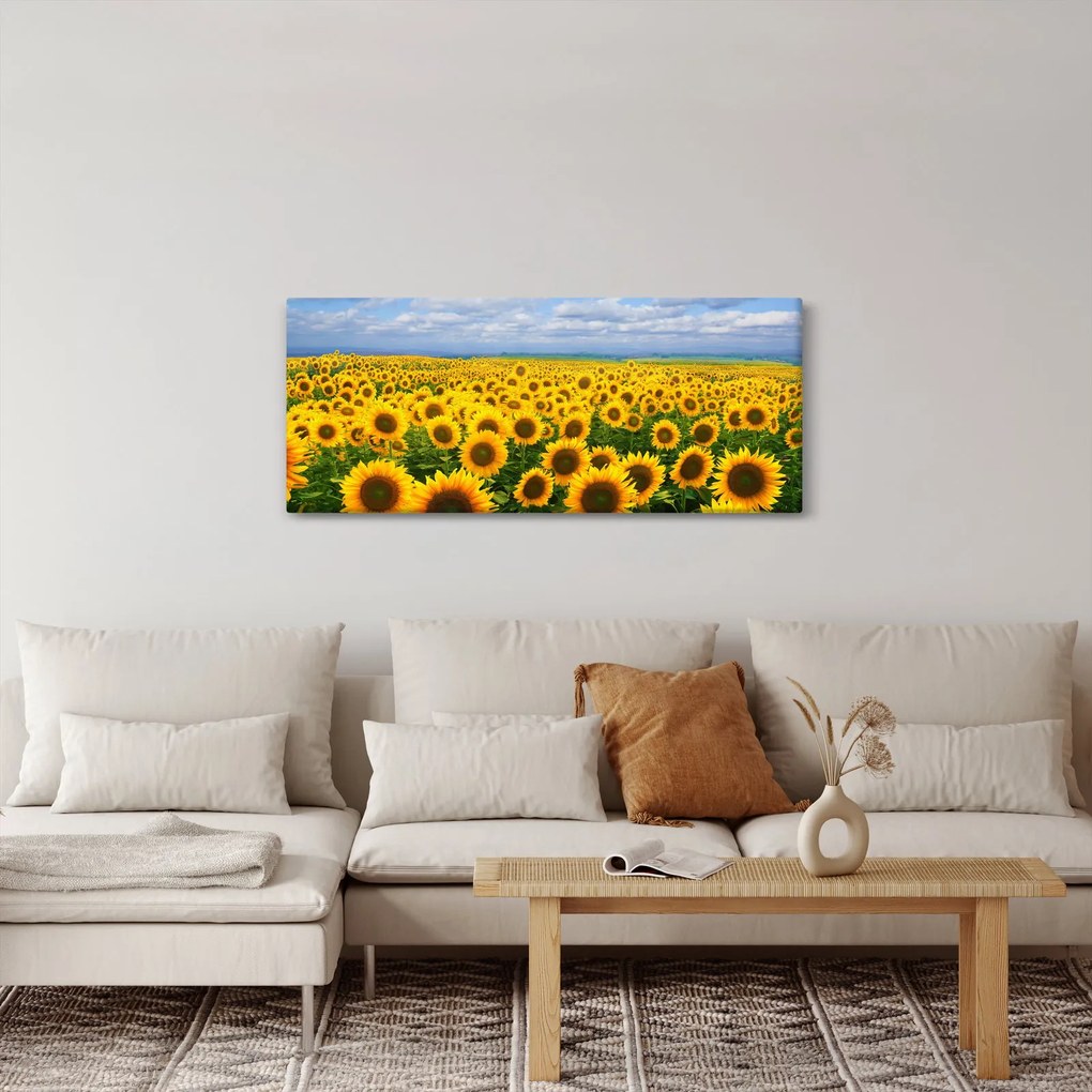 A napraforgó mező képe (120x50 cm)