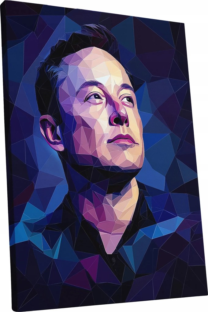 Vászonkép Portré Elon Musk nappali Elon Musk ajándék 30x40