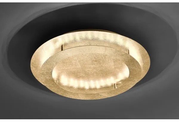 Paul Neuhaus 9621-12 - LED Mennyezeti lámpa NEVIS LED/24W/230V