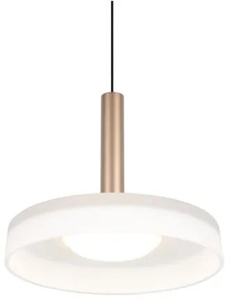 Fekete-fehér-aranyszínű LED dimmelhető függőlámpa üveg búrával ø 22 cm Celeste – Trio