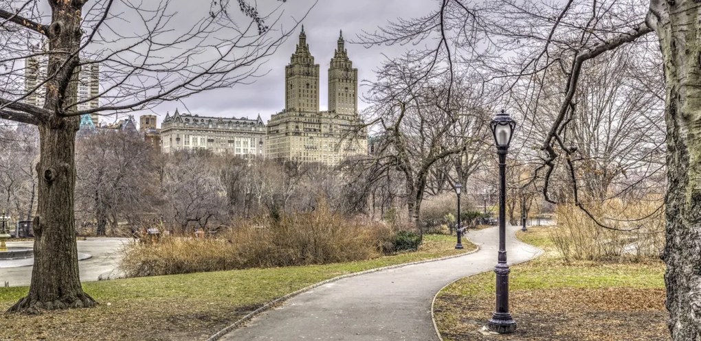 Poszter 91,3x44,5cm Ösvény a központi parkon át 3, Assaf Frank