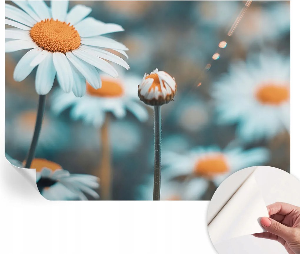 Öntapadós tapéta Falfestmény Prémium Kamilla finomság 208x146