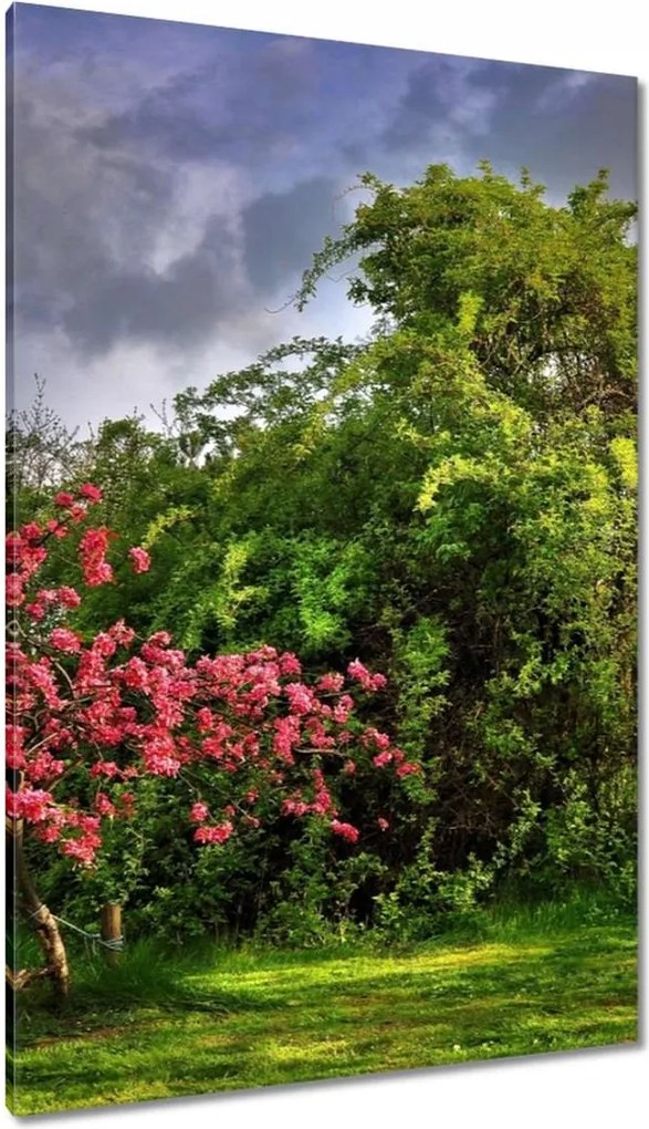 Festmények 80x120 Tájkép