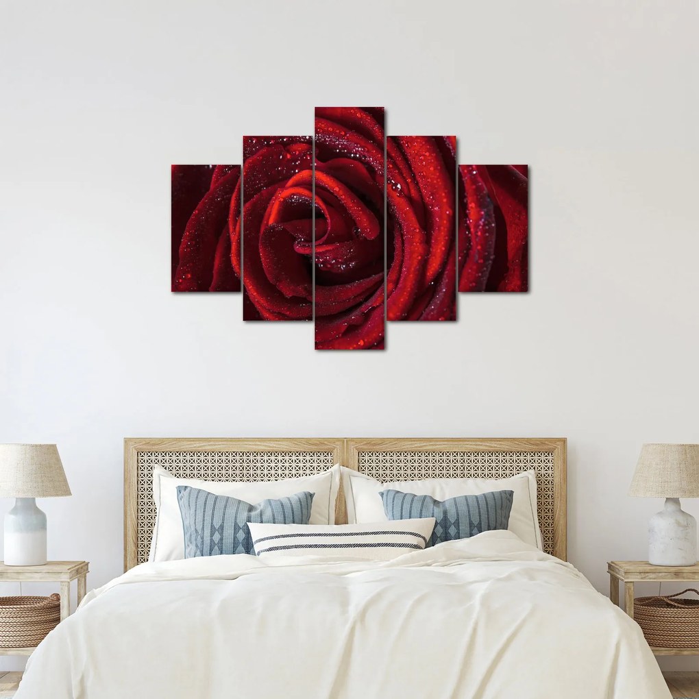 Kép - Vörös rózsa harmatcseppekkel (150x105 cm)