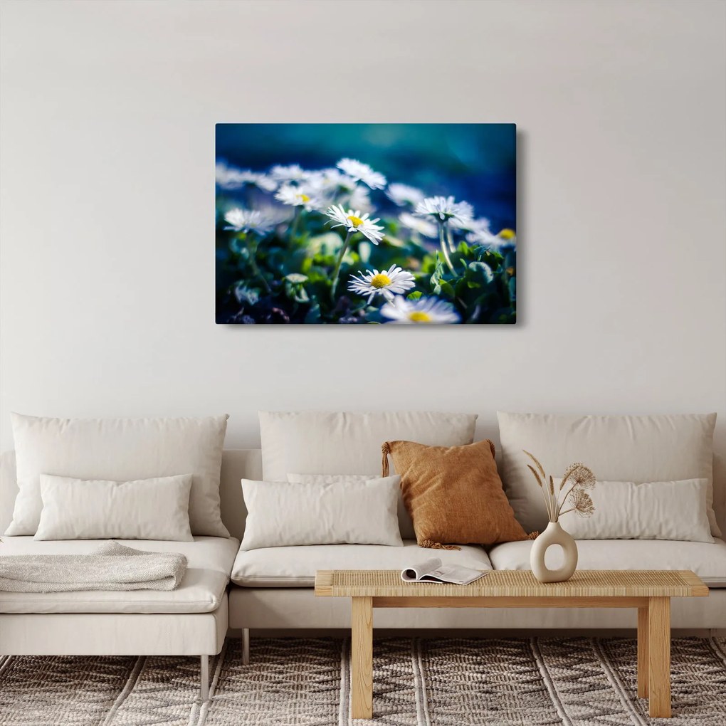 Százszorszépek képe (90x60 cm)