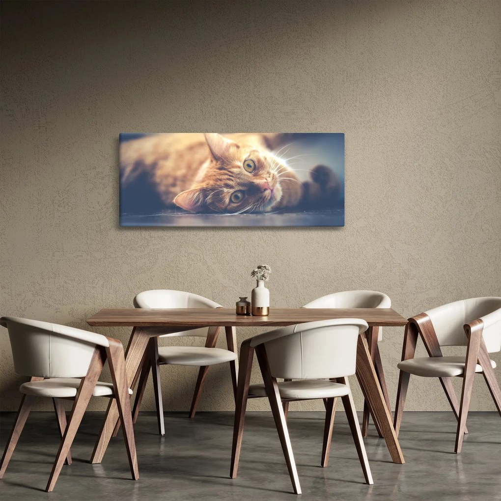 Egy kép a macskáról a padlón (120x50 cm)