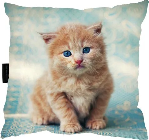 Macska Párna 40x40 Cica Ajándék