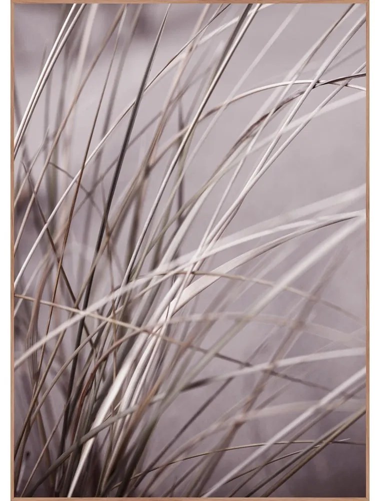 Kép 50x70 cm Mellow Grasses 1 – Malerifabrikken
