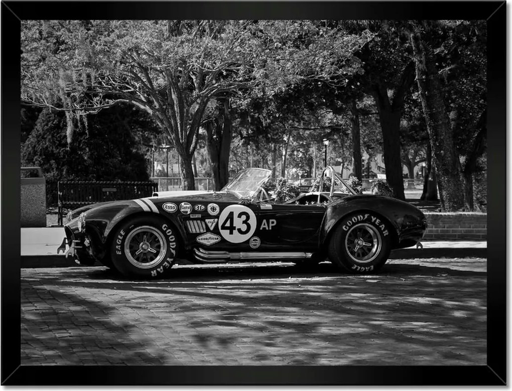 Poszterek keretben 40x30 Shelby