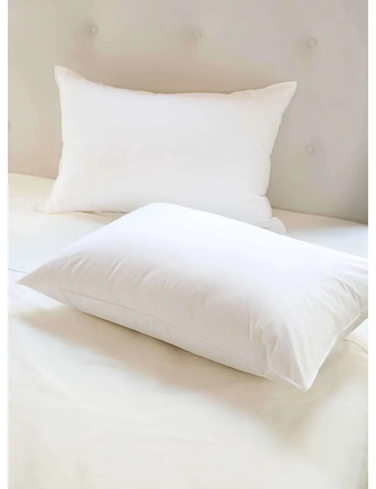 EMI Standard antiallergén párna 50x70cm