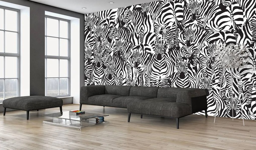 Fotótapéta - Zebra (152,5x104 cm)