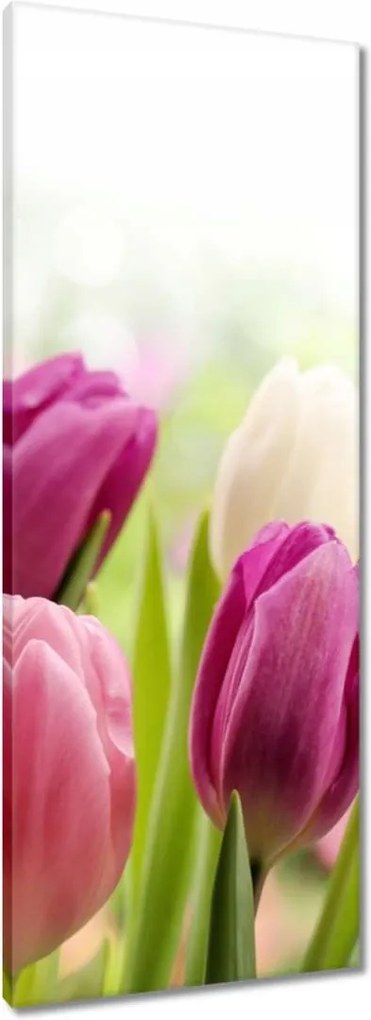 Vászonkép 40x100 Gyönyörű tulipánok