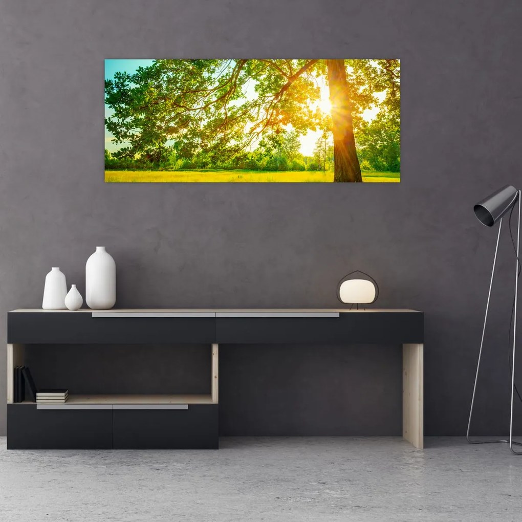 Kép - Sunny Forest (120x50 cm)