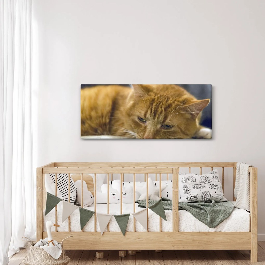 Macska képe (120x50 cm)