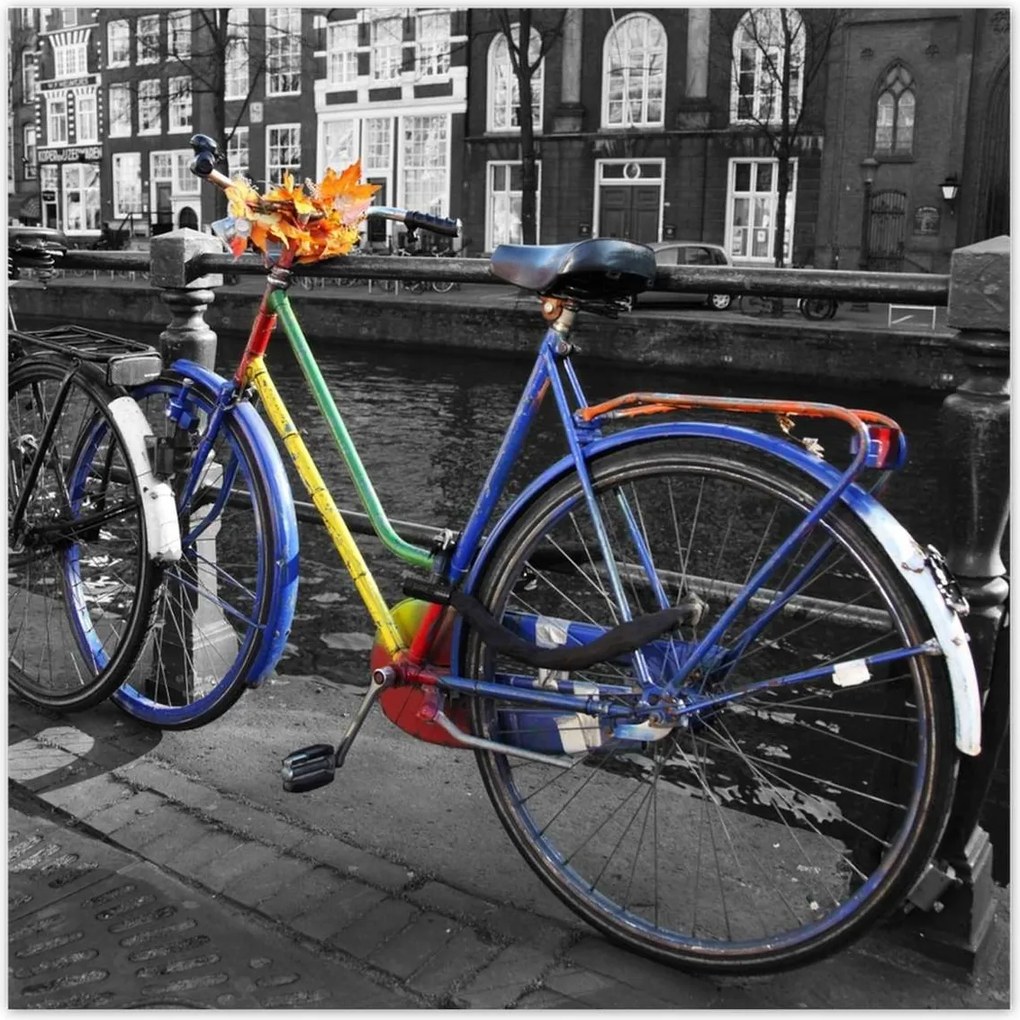 Poszterek 140x140 Őszi levelek