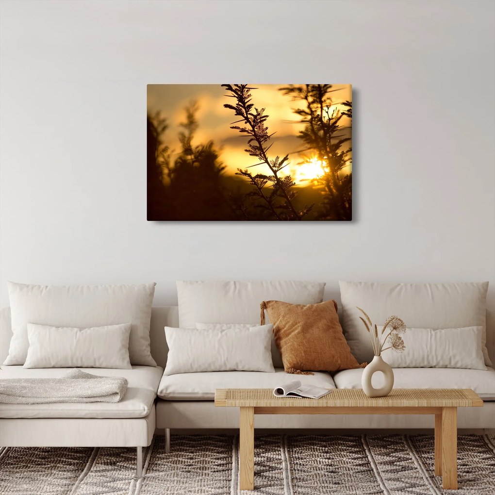 Kép - A nap lenyugszik a fák mögött (90x60 cm)