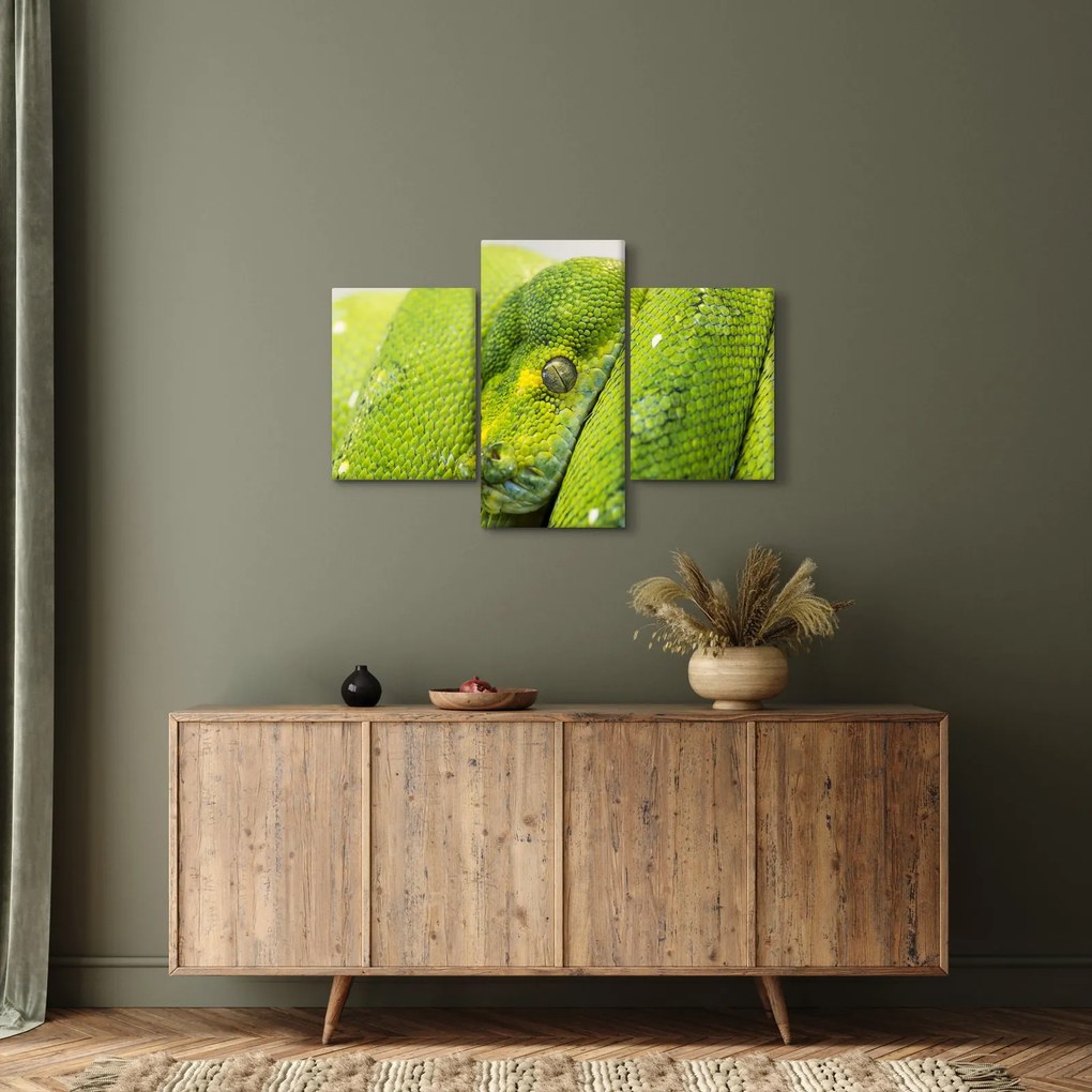 Kígyó képe (90x60 cm)