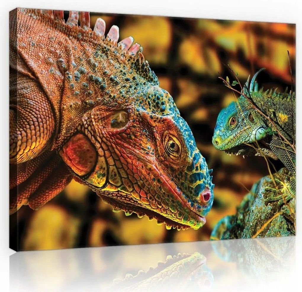 Vászonkép 80x60 Egzotikus leguán portré egy trópusi paradicsomban az otthonodba