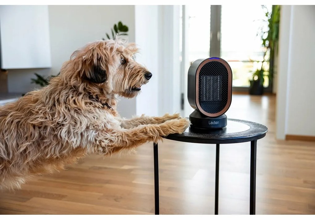 Lauben Desk 600BB  2in1 asztali ventillátor