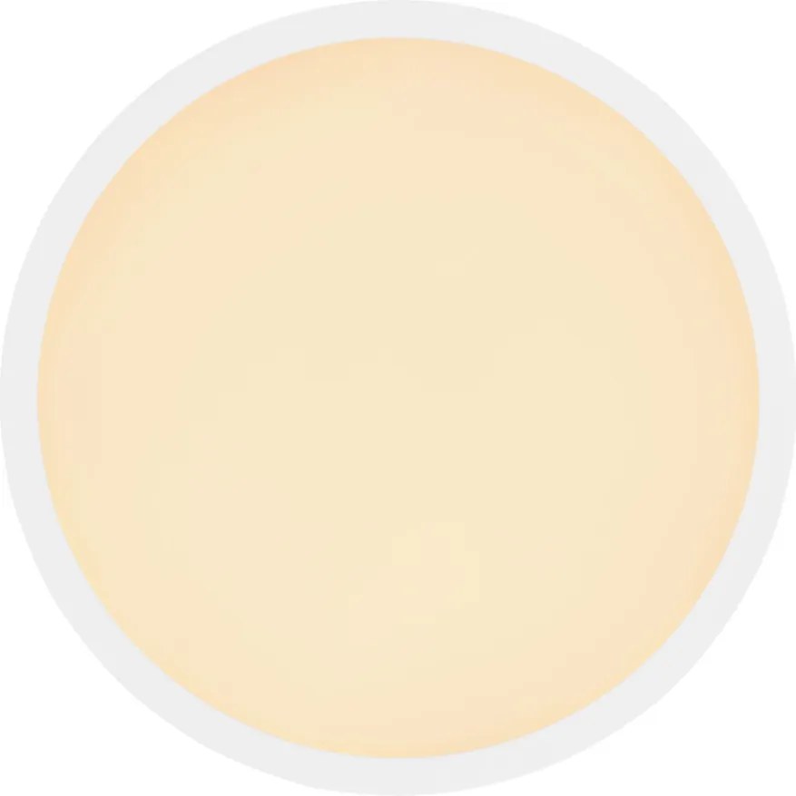 GLOBO 41562-24W SPANA Kerek Mennyezeti Lámpa LED IP44