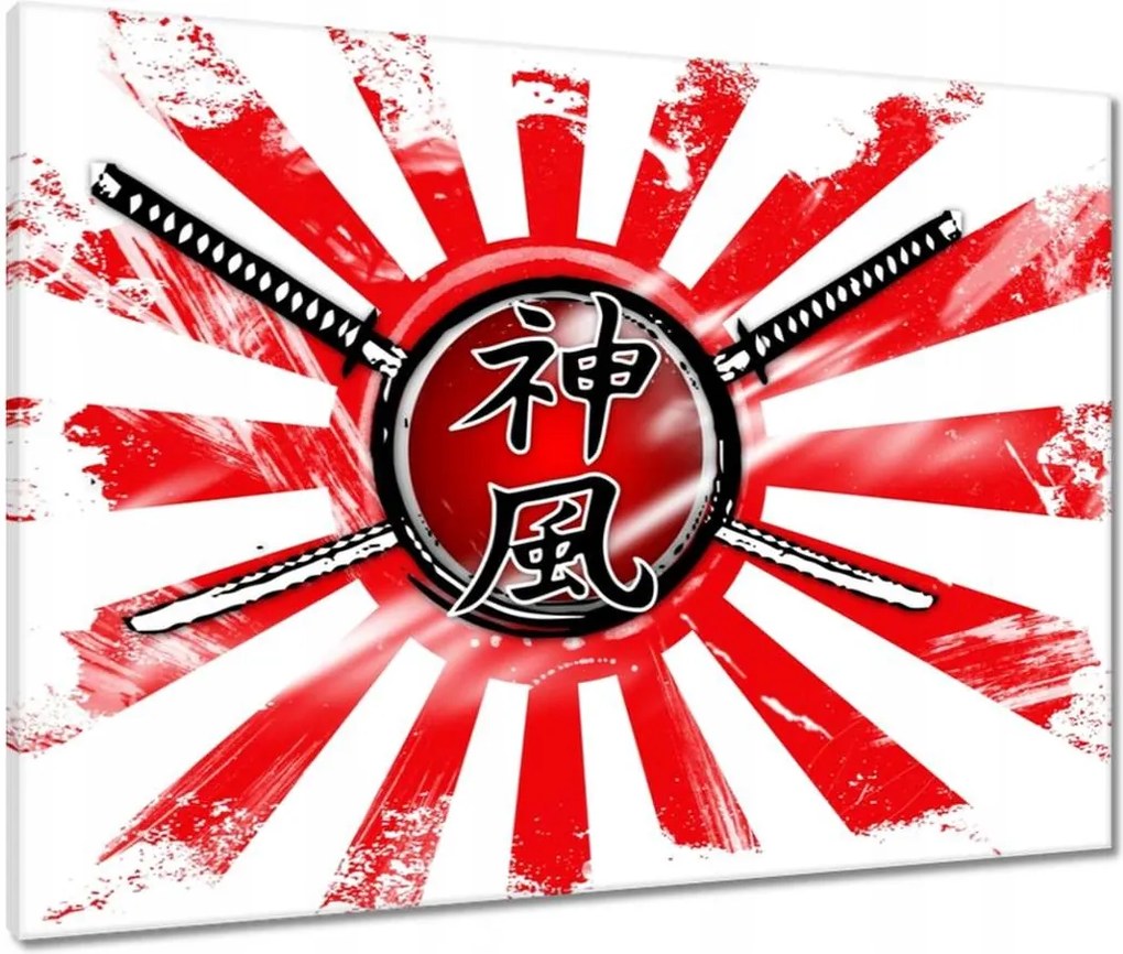Vászonkép 80x60 Kamikaze