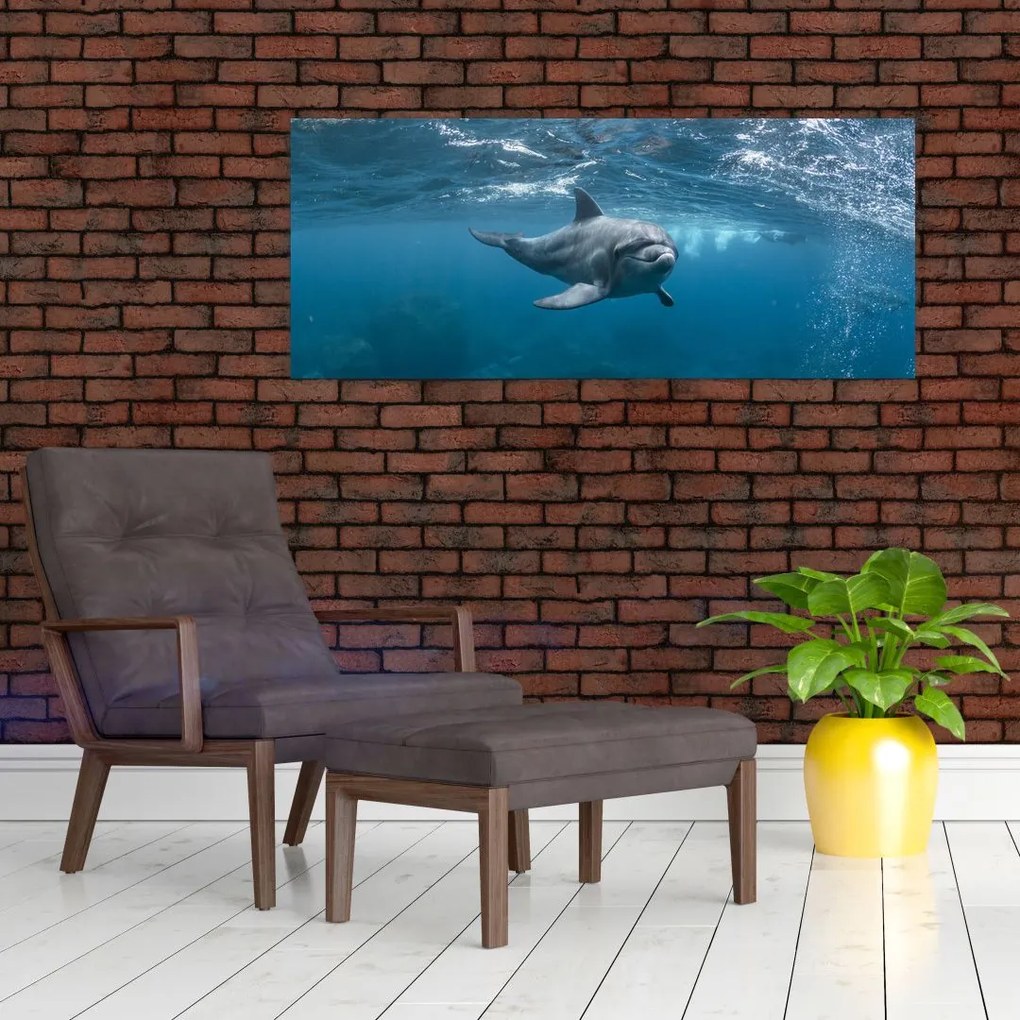 Kép - Delfin a felszín alatt (120x50 cm)