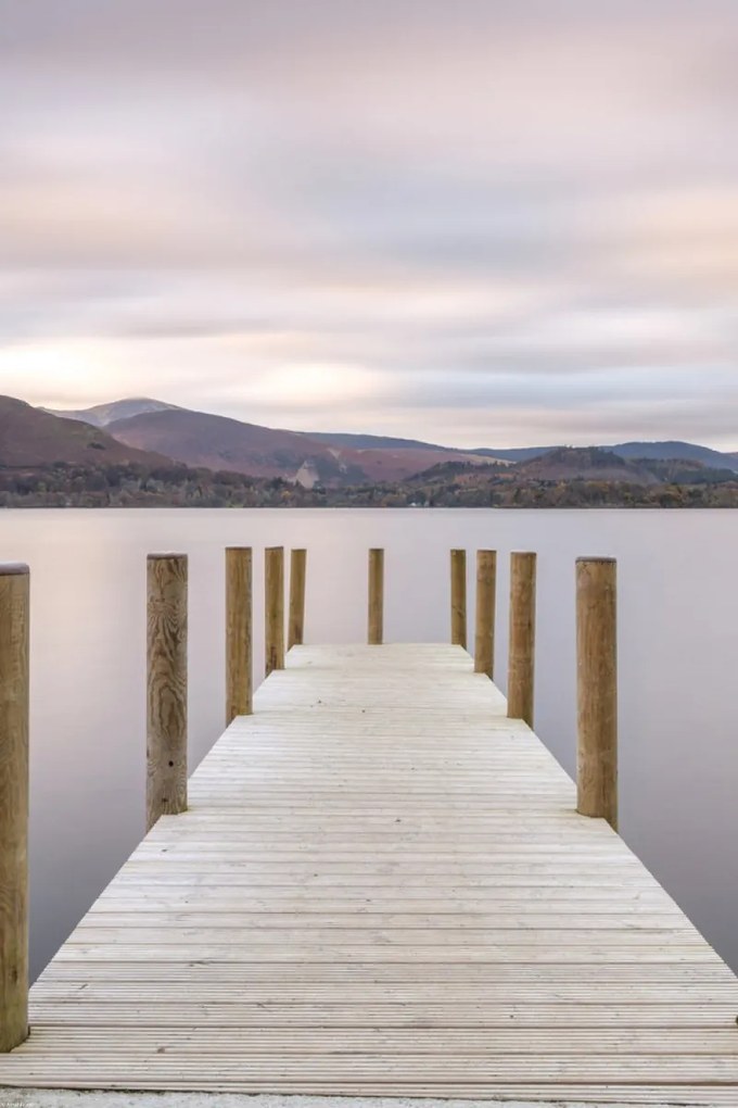 Poszter 40x60cm, Assaf Frank