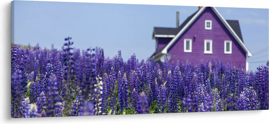 Levandula mező képe (120x50 cm)