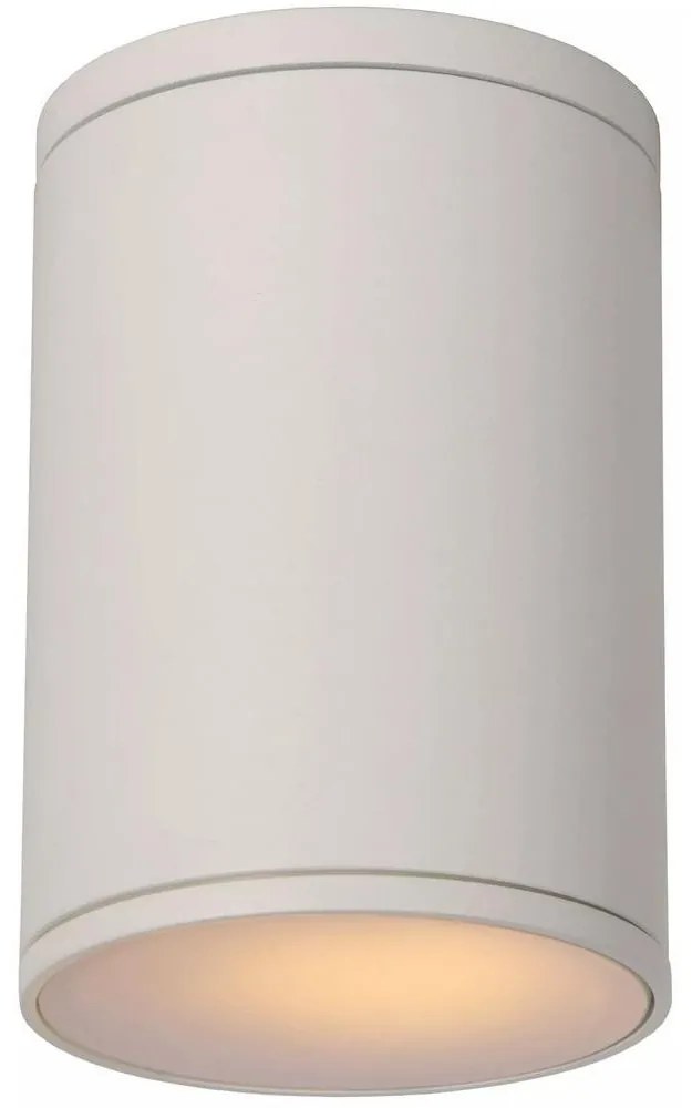 Lucide 27870/01/31 - Fürdőszobai mennyezeti lámpa TUBIX 1xE27/24W/230V IP54