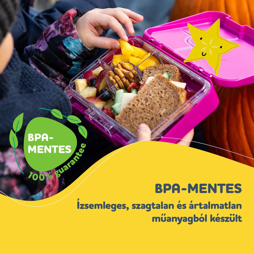 Klarstein Schmatzfatz junior, tízórais doboz, 6 rekesz, 21,3 x 15 x 4,5 cm