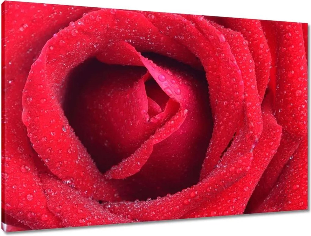 Vászonkép 90x60 Nőnap Ajándék Love