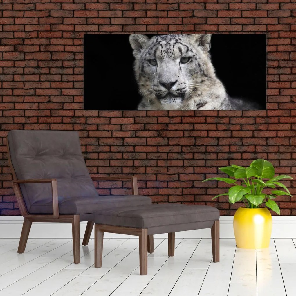 Kép - Snow Leopard (120x50 cm)