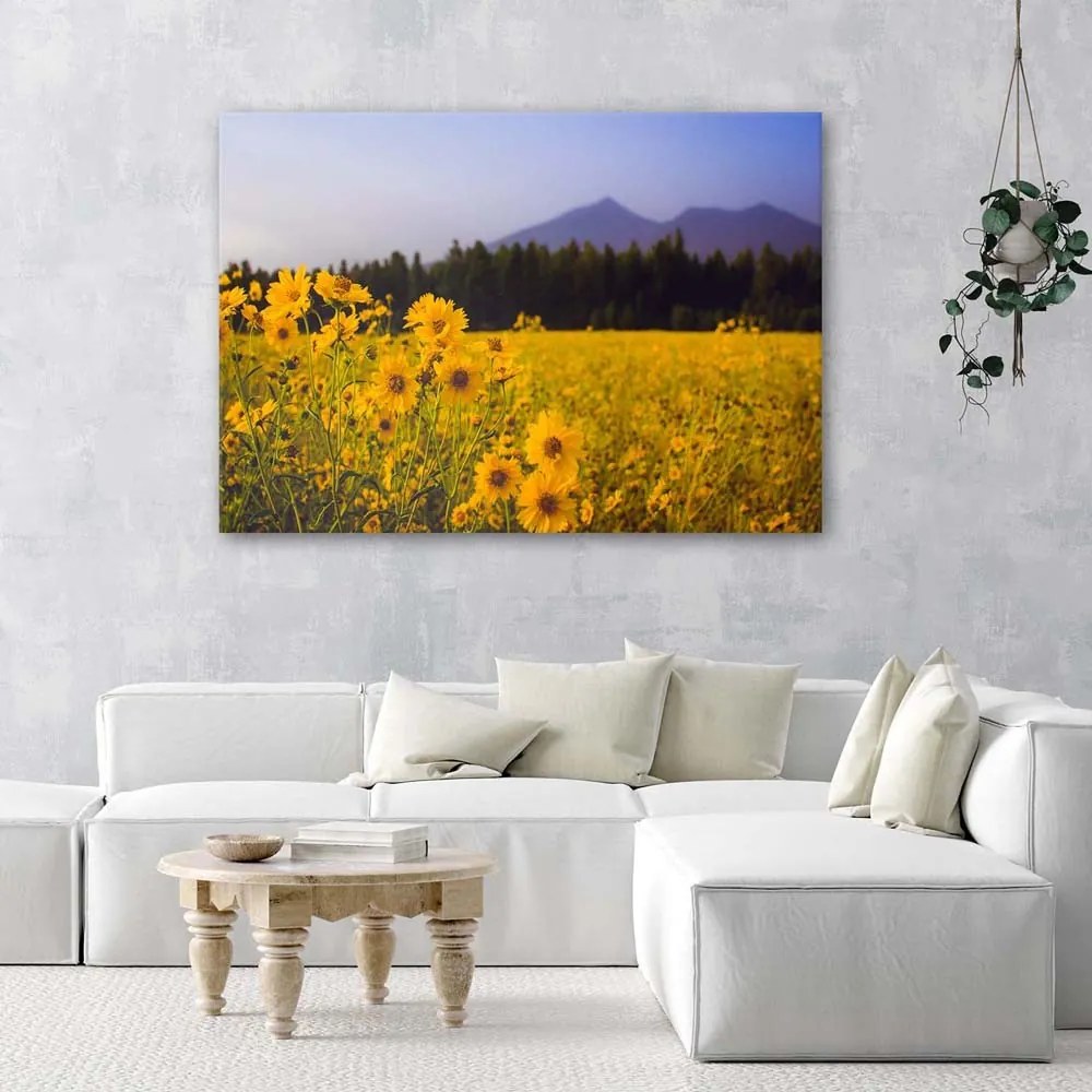 Gario Vászonkép Sárga mezei virágok Méret: 90 x 60 cm