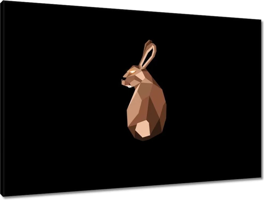 Vászonkép 90x60 Nyuszi fekete alapon