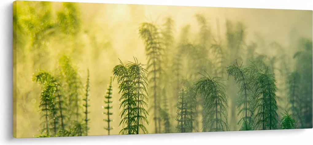 Kép - Részlet a tavaszi ködös természetből (120x50 cm)