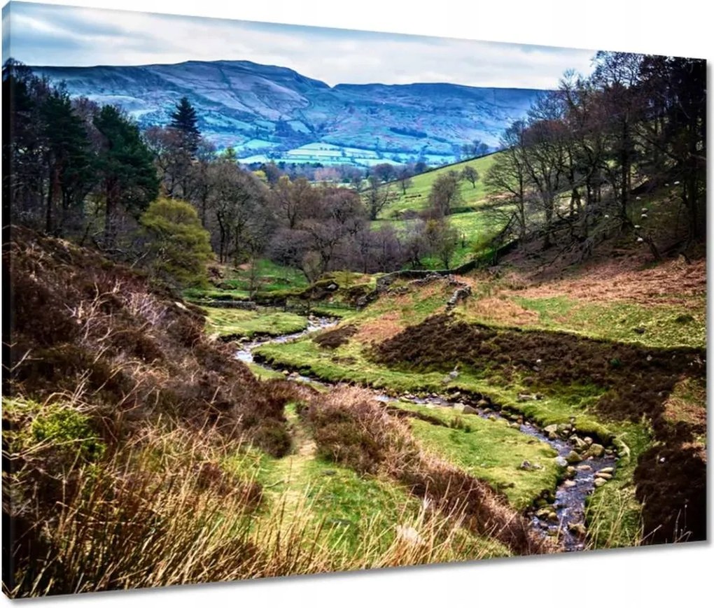 Vászonkép 80x60 Hegyi táj Patak a hegyekben