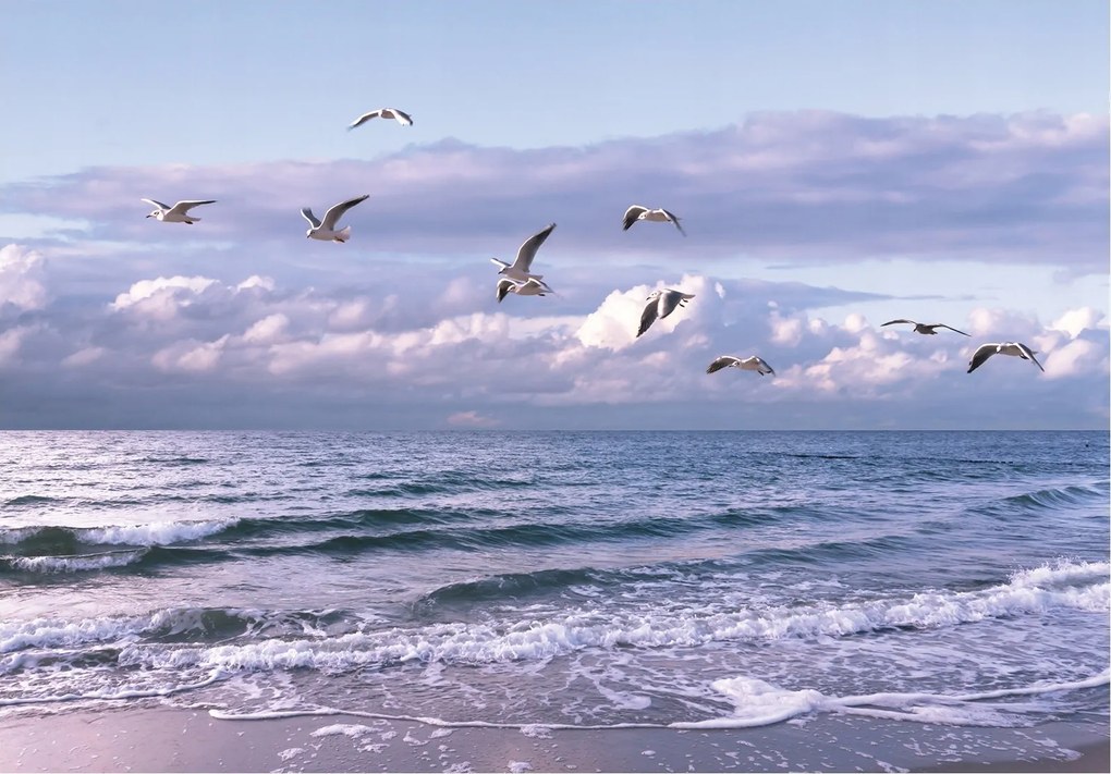 Fotótapéta Tengeri sirályok szellője a tengerparton pasztell színek 208x146 +ragasztó