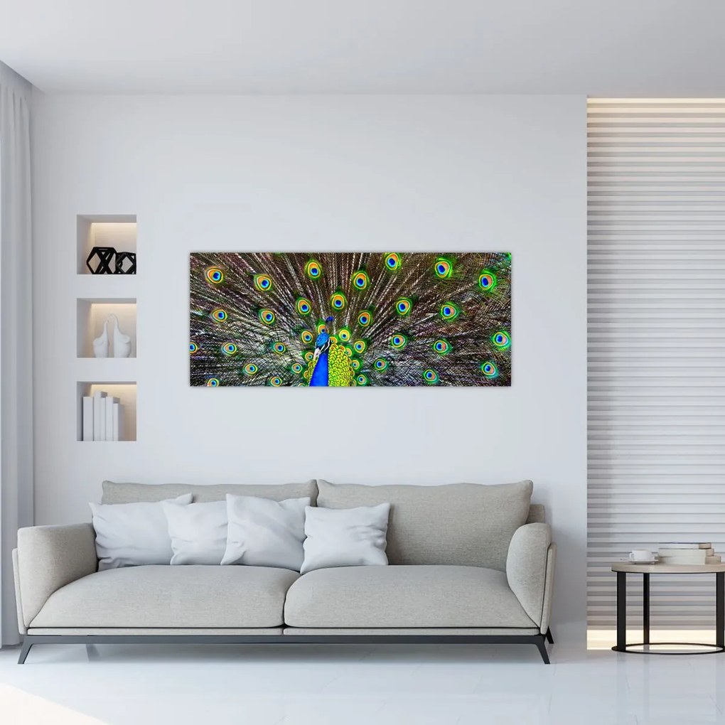 Kép - Páva (120x50 cm)