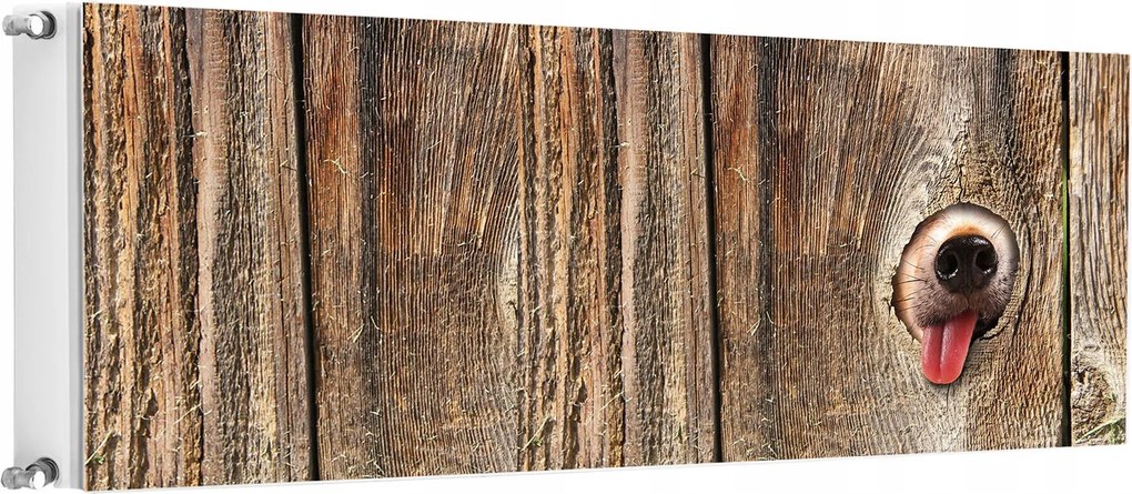 Mágneses Radiátorszőnyeg 160x60 Kutya Fotótapéta