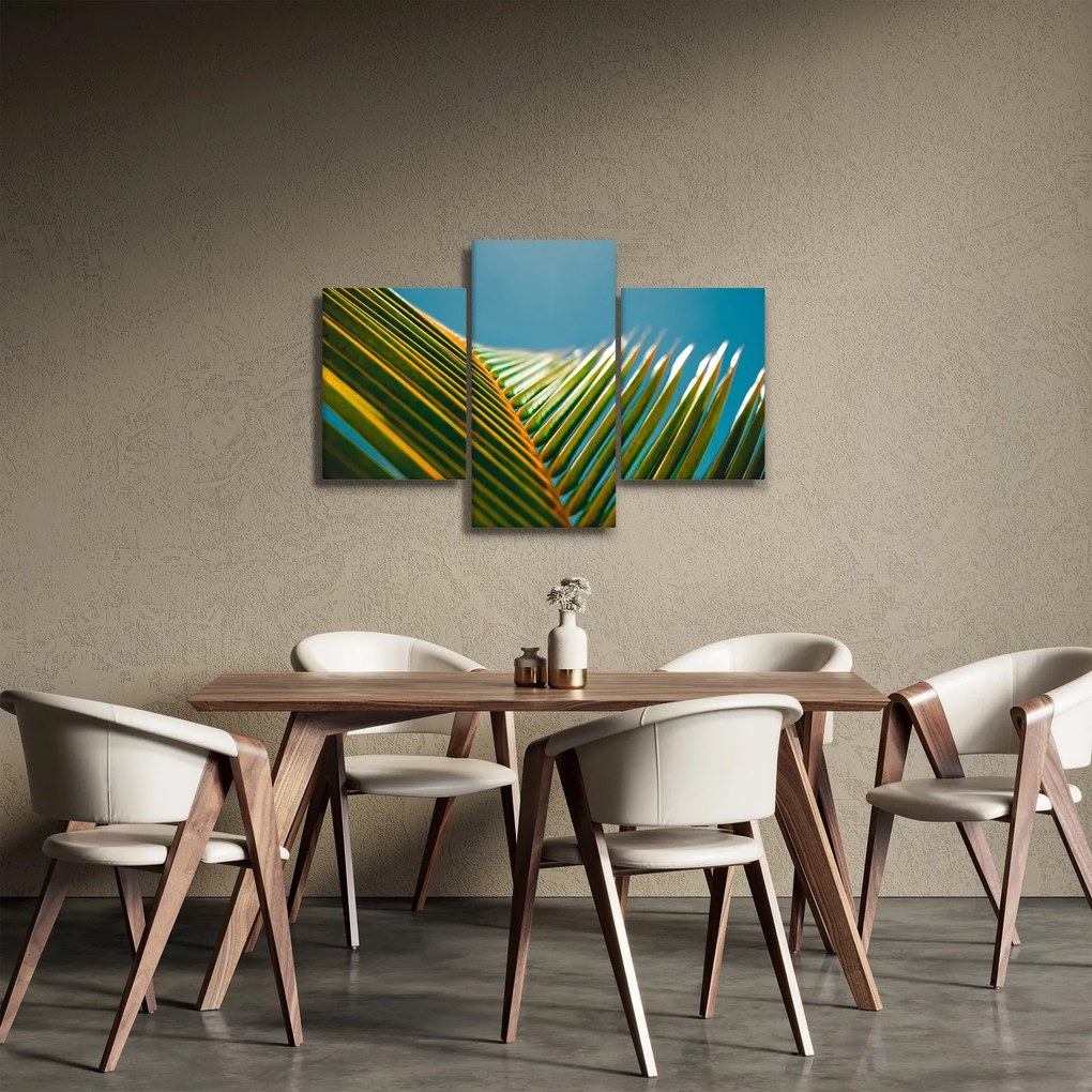 Kép - A pálmalevél részlete (90x60 cm)