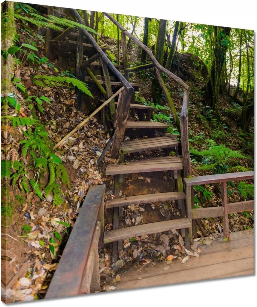 Vászonkép 50x50 Gyalogtúra