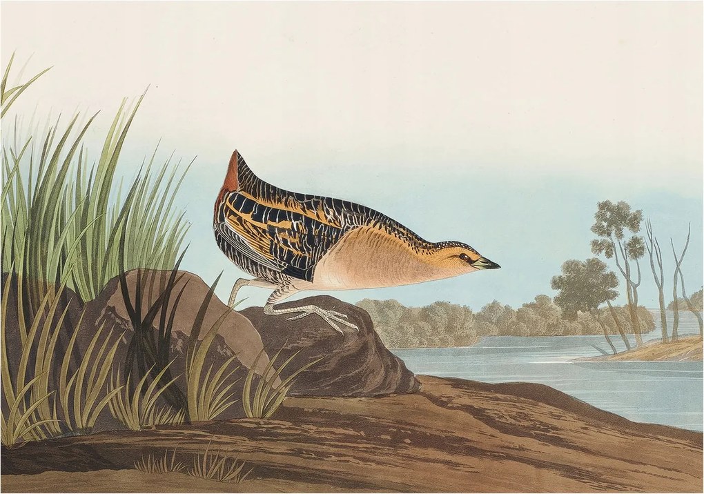 Fotótapéta Flizelin Dekoratív Hálószoba Természetes jelenet 312x219