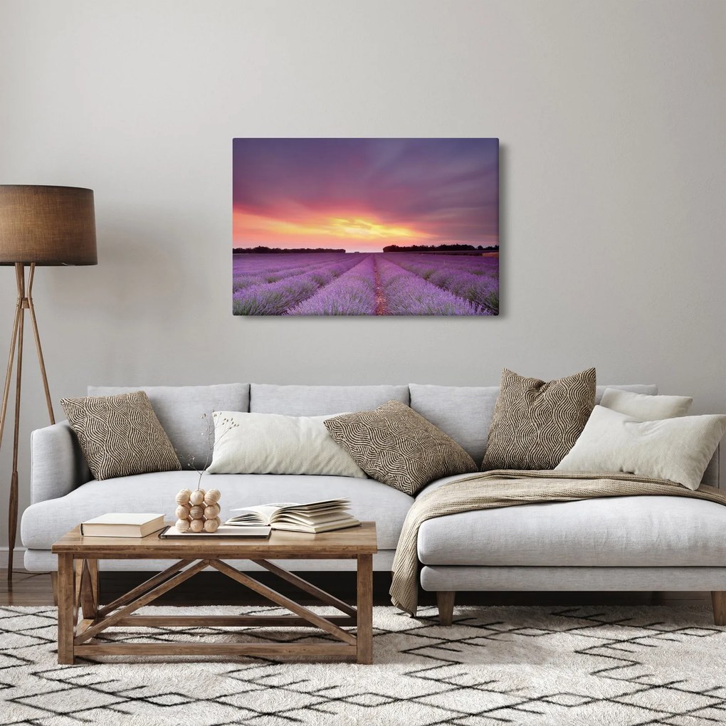 Kép - Levendula mező (90x60 cm)
